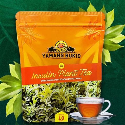 Yamang bukid insulin plant tea  Follow